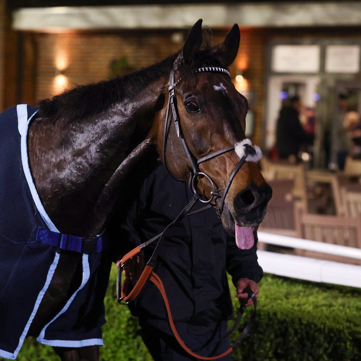 At The Races tweet media