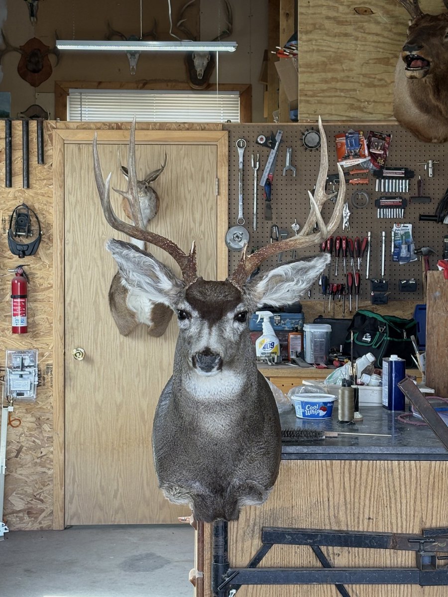 Lynn Gaitz tweet media