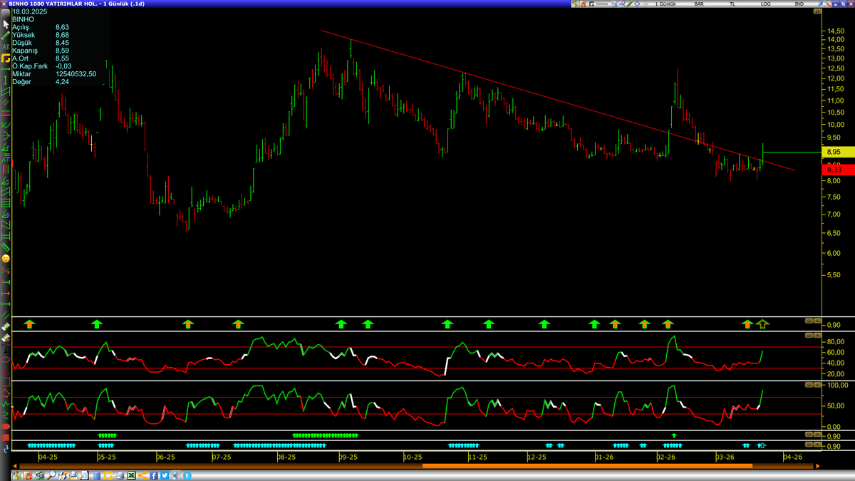 hayalcizici tweet media