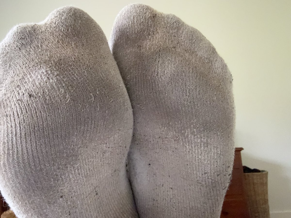 circulardesign tweet media