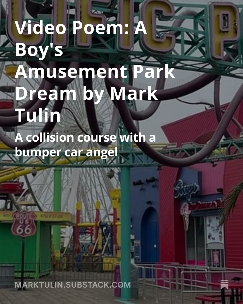 Mark Tulin tweet media