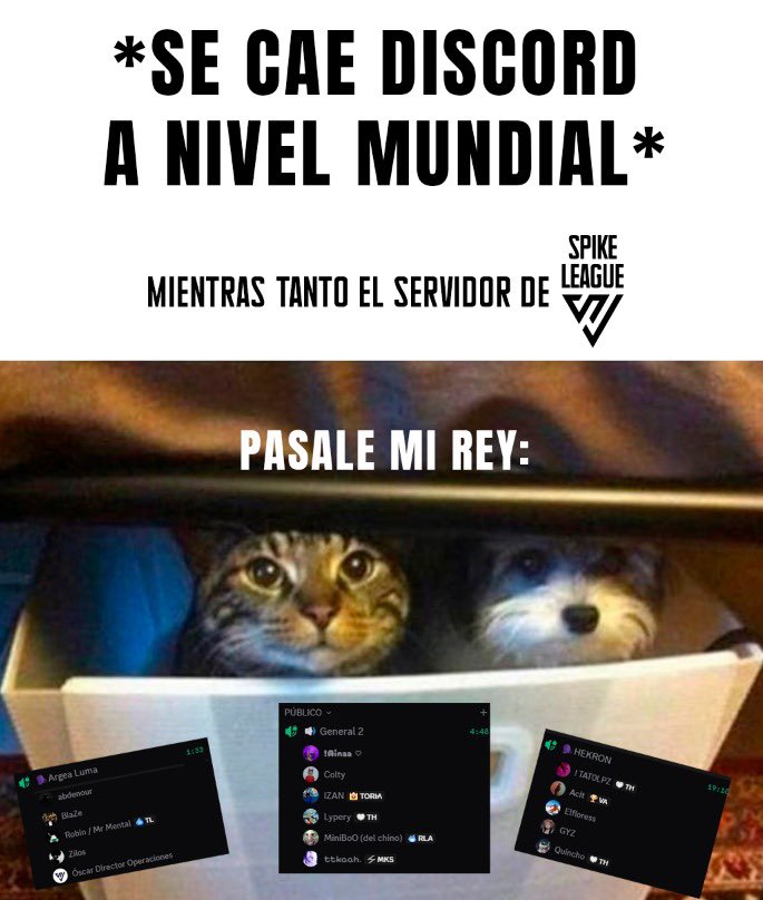 Spike League tweet media