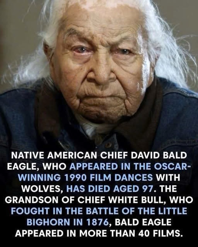 Support Native Americans tweet media
