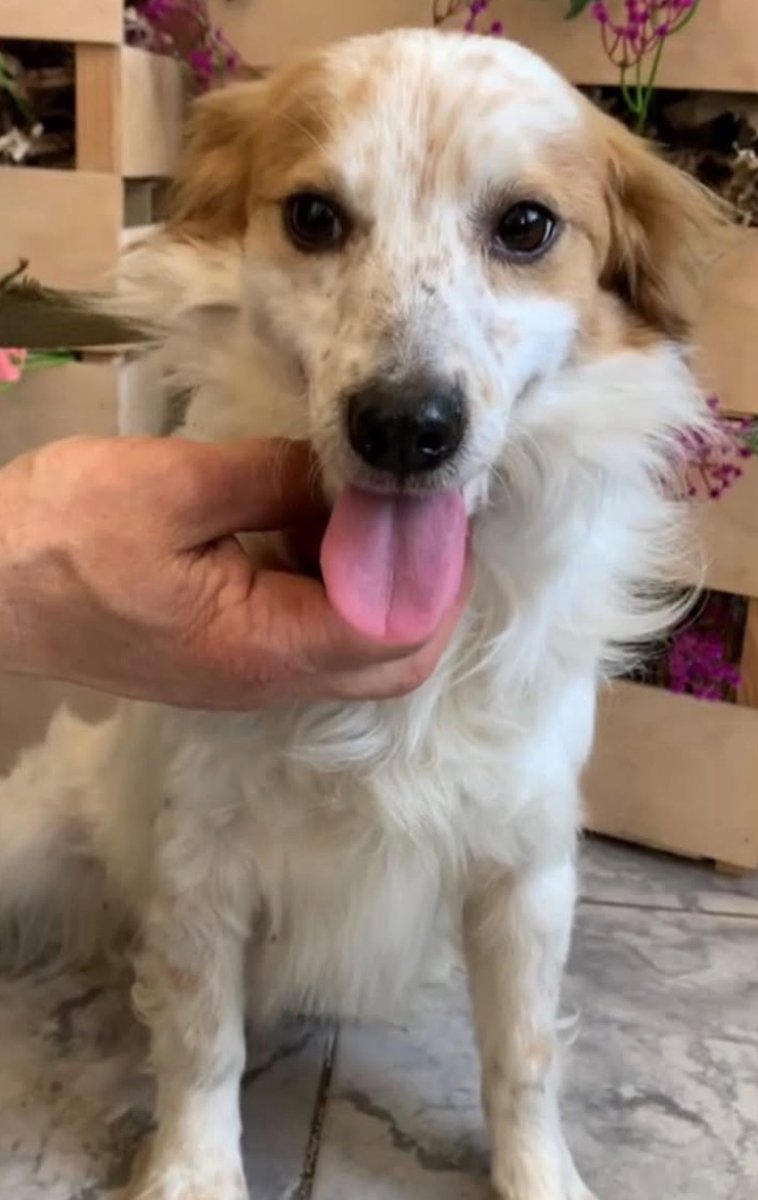 💛💙Hanna❤️🖤 tweet media