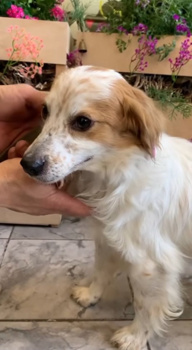 💛💙Hanna❤️🖤 tweet media