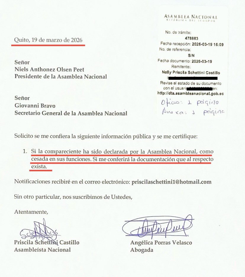 Priscila Schettini tweet media