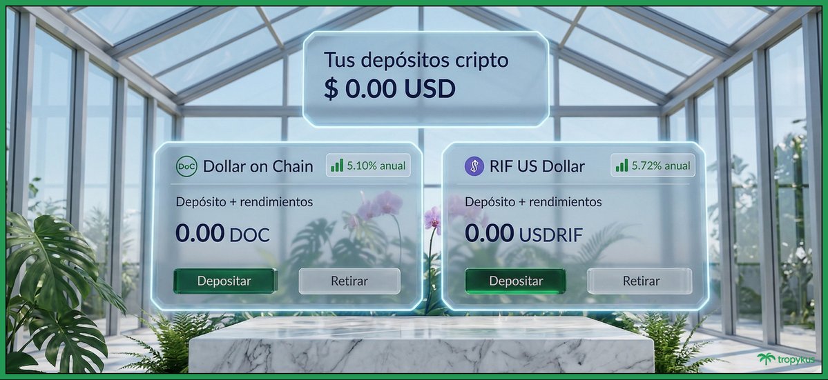 Tropykus 🌴🍹 tweet media