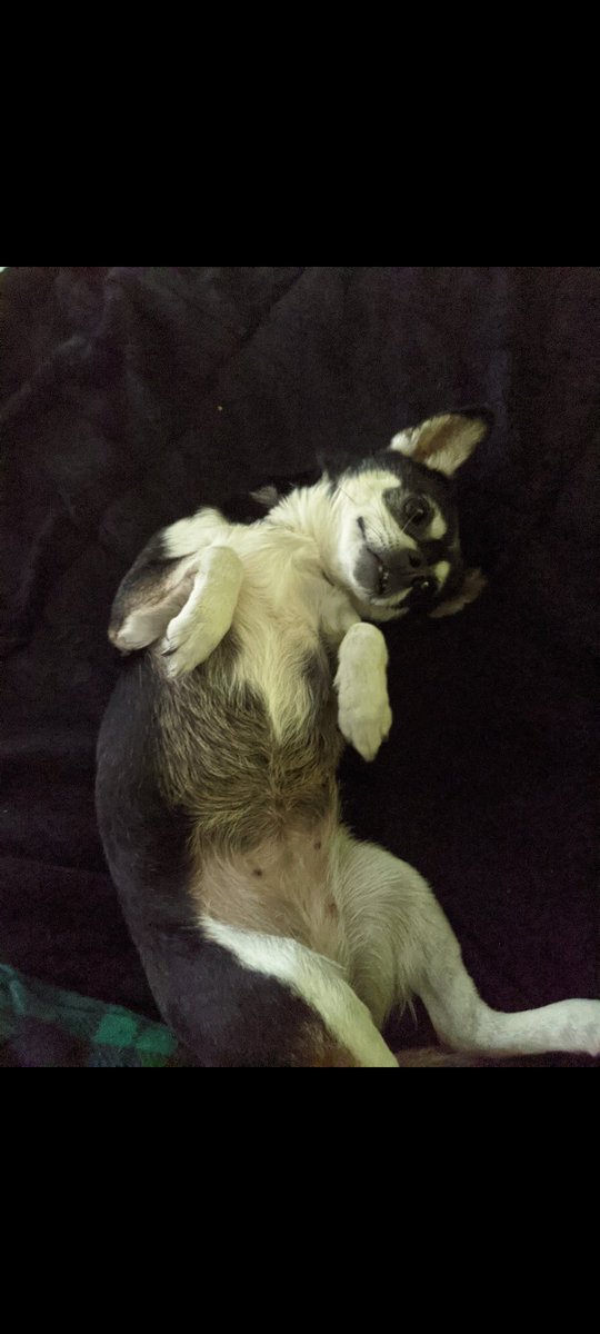 Brinkframe tweet media