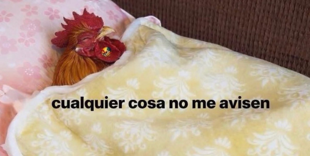 piña sin pizza tweet media