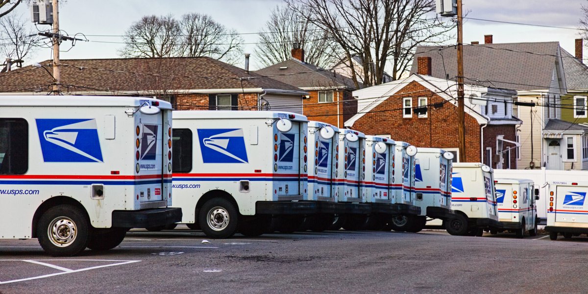 The National Pulse tweet media