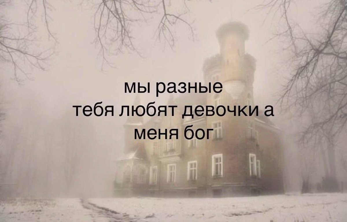 нишевый твиттер tweet media