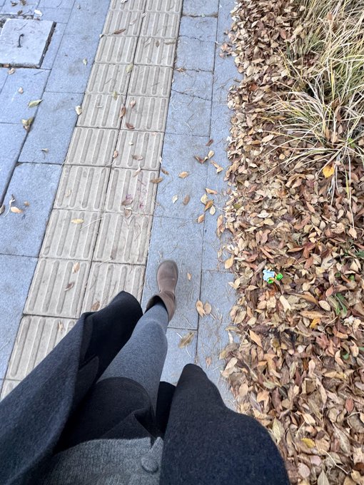 吃土豆长大的马铃薯🥔 tweet media