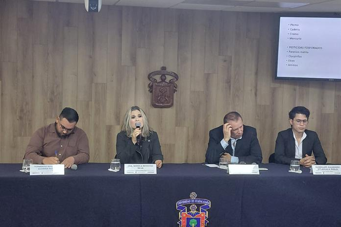 Canal 44 tweet media