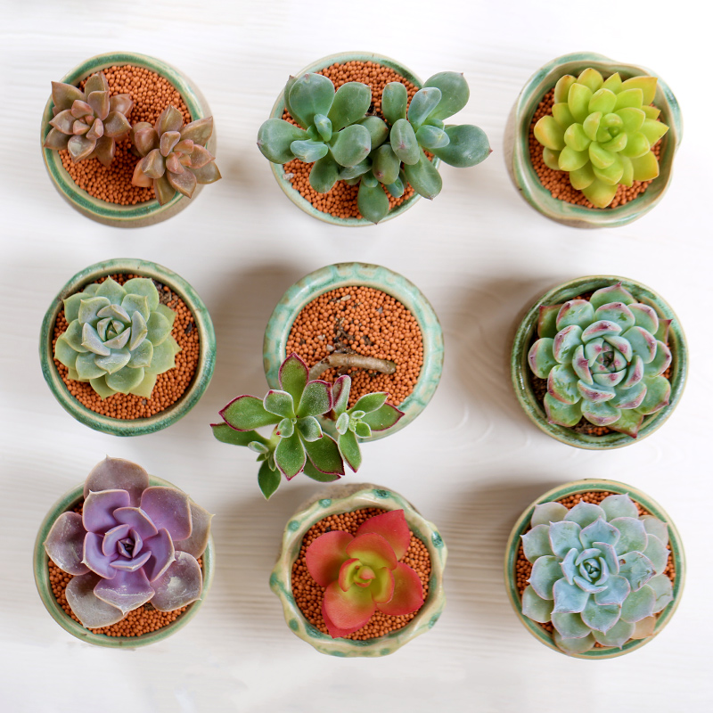 Erika Swiger tweet media