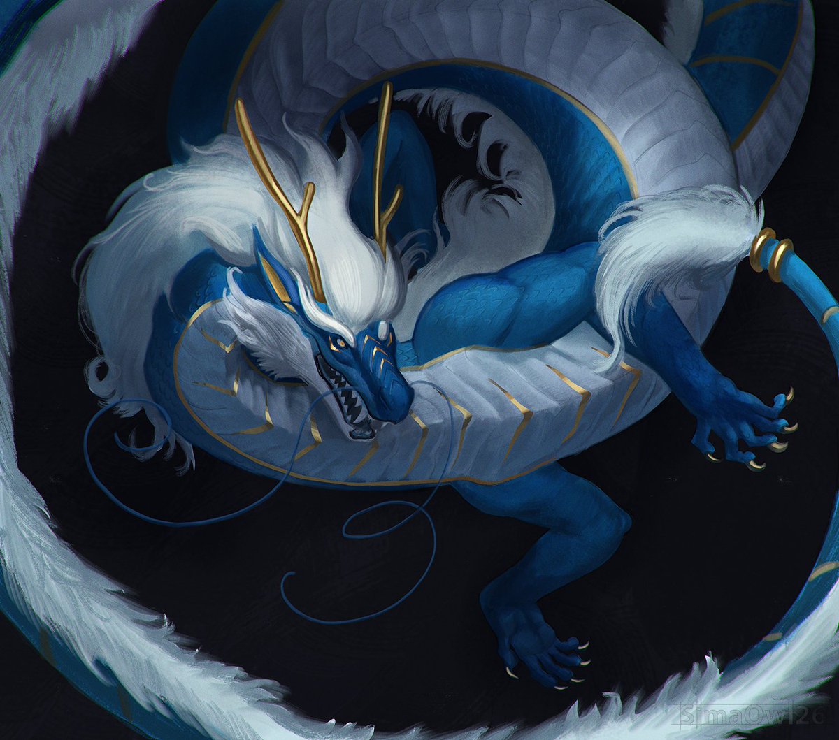 SimaOwl(COMMS OPEN) tweet media