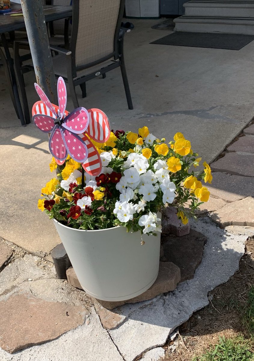 Flowers and roses are beautiful 🌹🌼