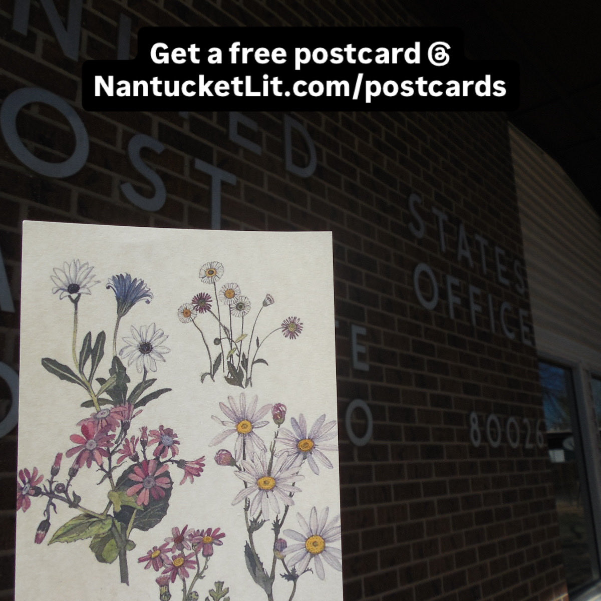 Nantucket Lit tweet media