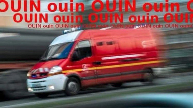 A Plague Tale Stan Account tweet media