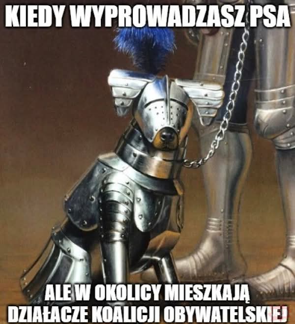 Andrzej Powazka tweet media