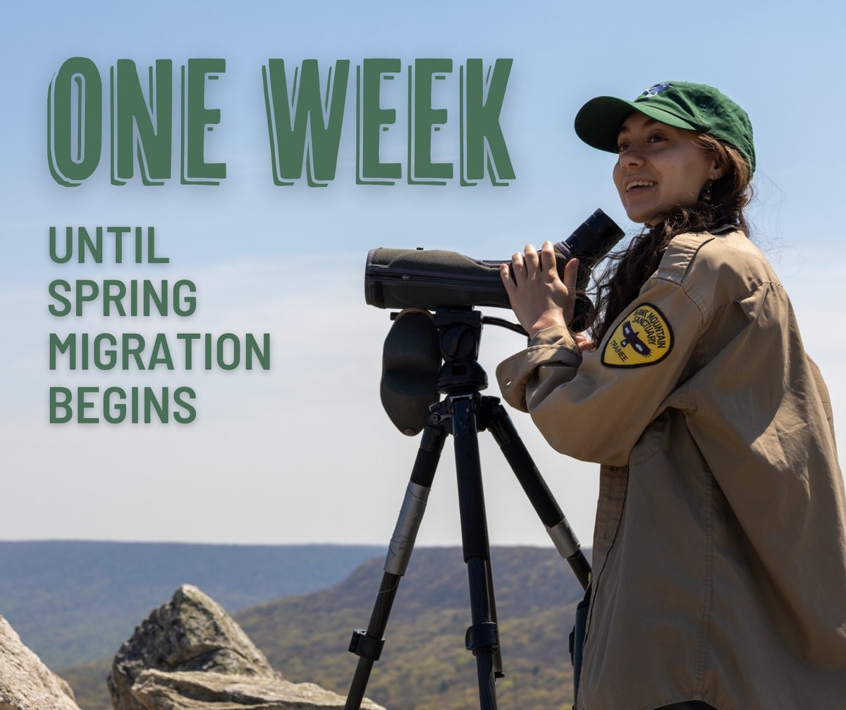 Hawk Mountain tweet media