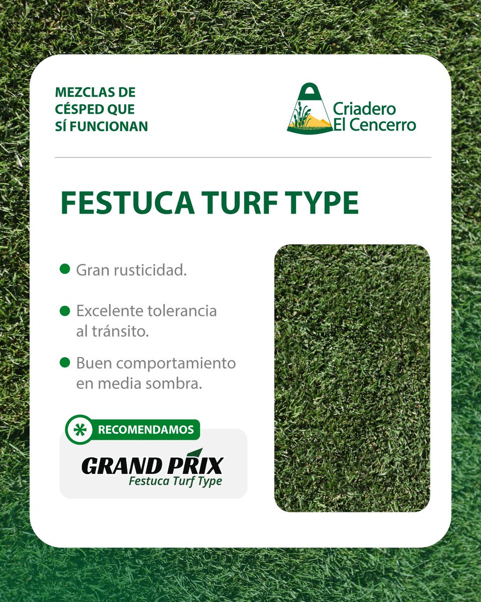 Criadero El Cencerro tweet media