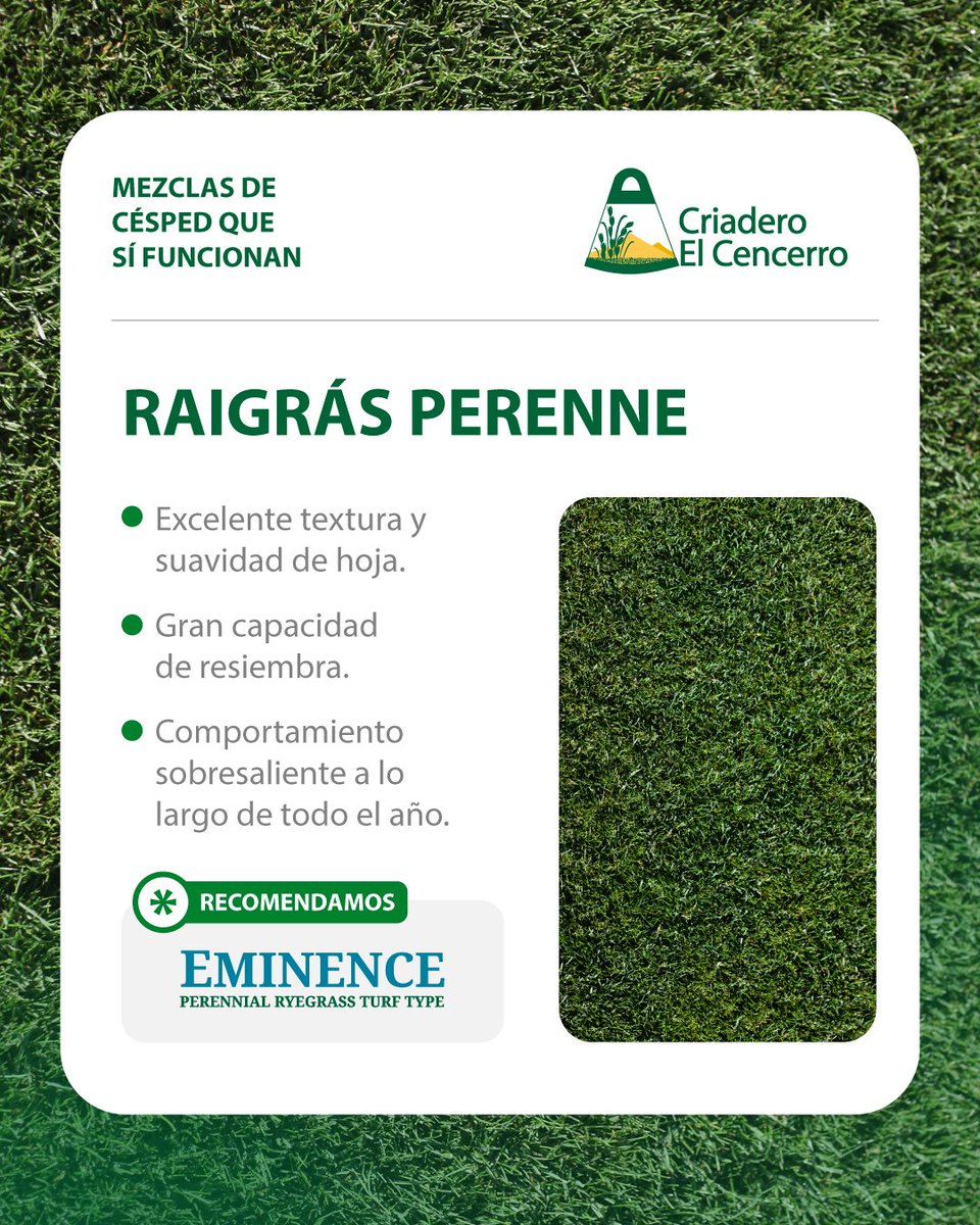 Criadero El Cencerro tweet media