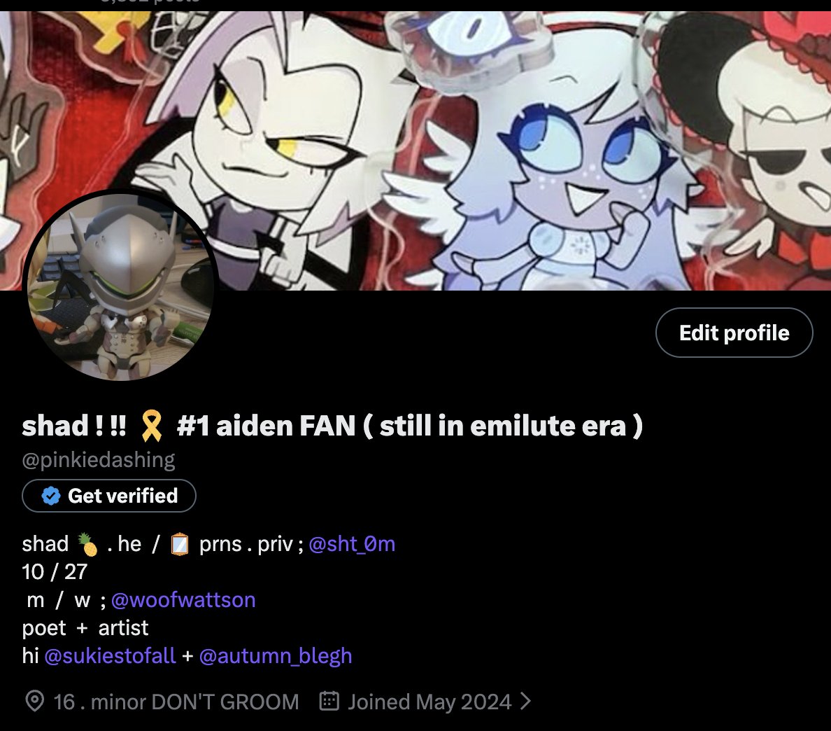 shad ! !! 🎗 #1 aiden FAN ( still in emilute era ) tweet media