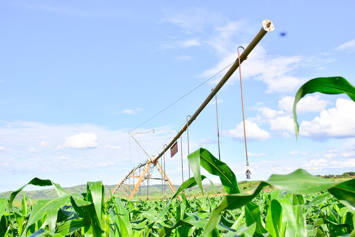 HoReCo-Rwanda tweet media