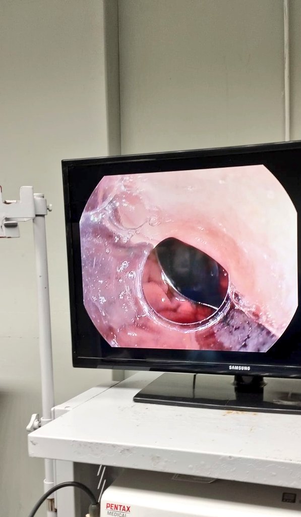 Karim Kamal tweet media