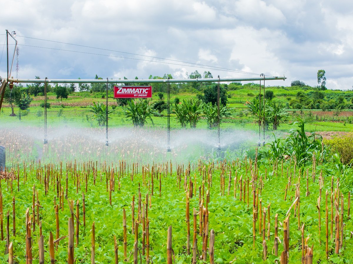 HoReCo-Rwanda tweet media