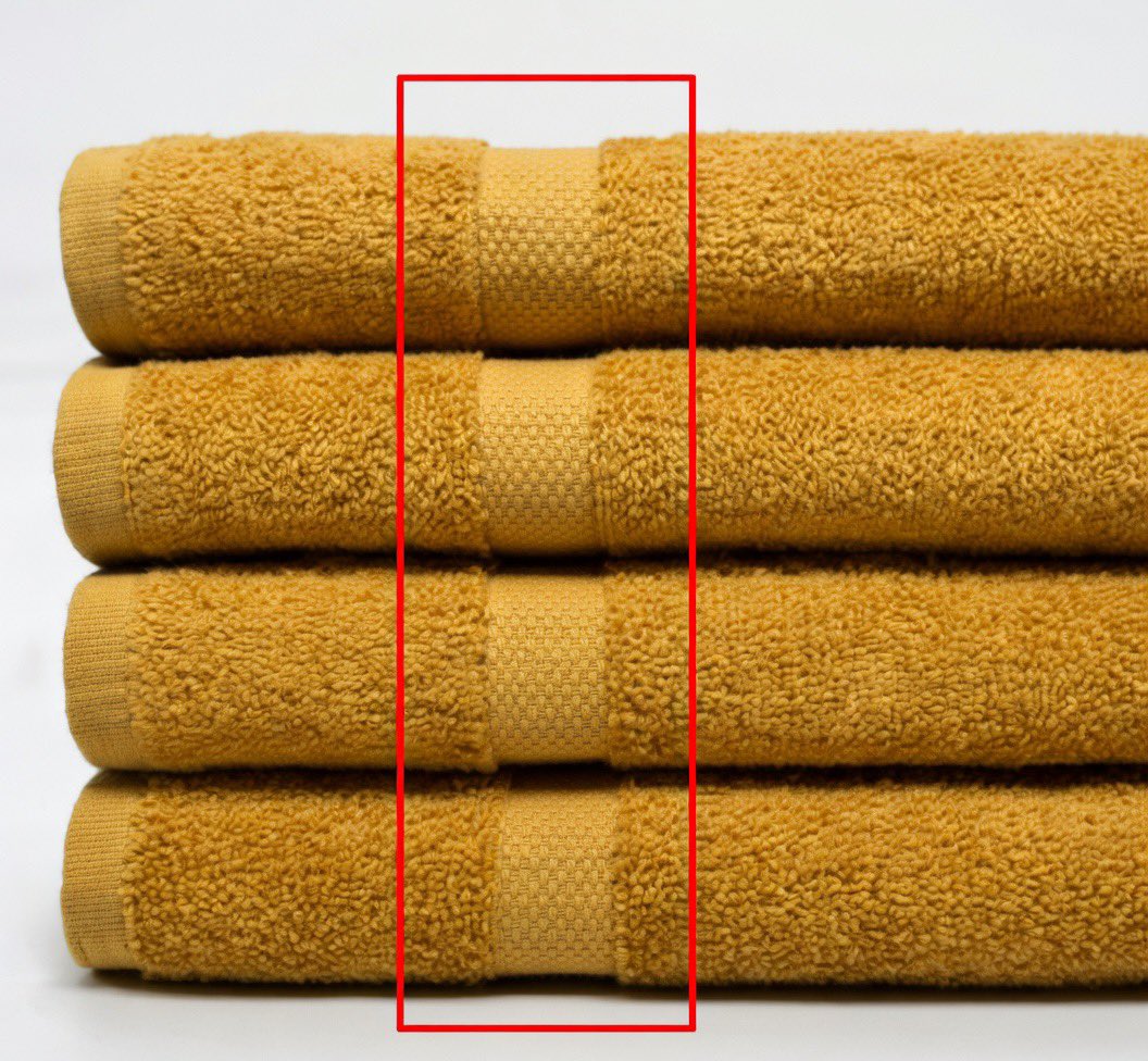 Isa Ricci tweet media