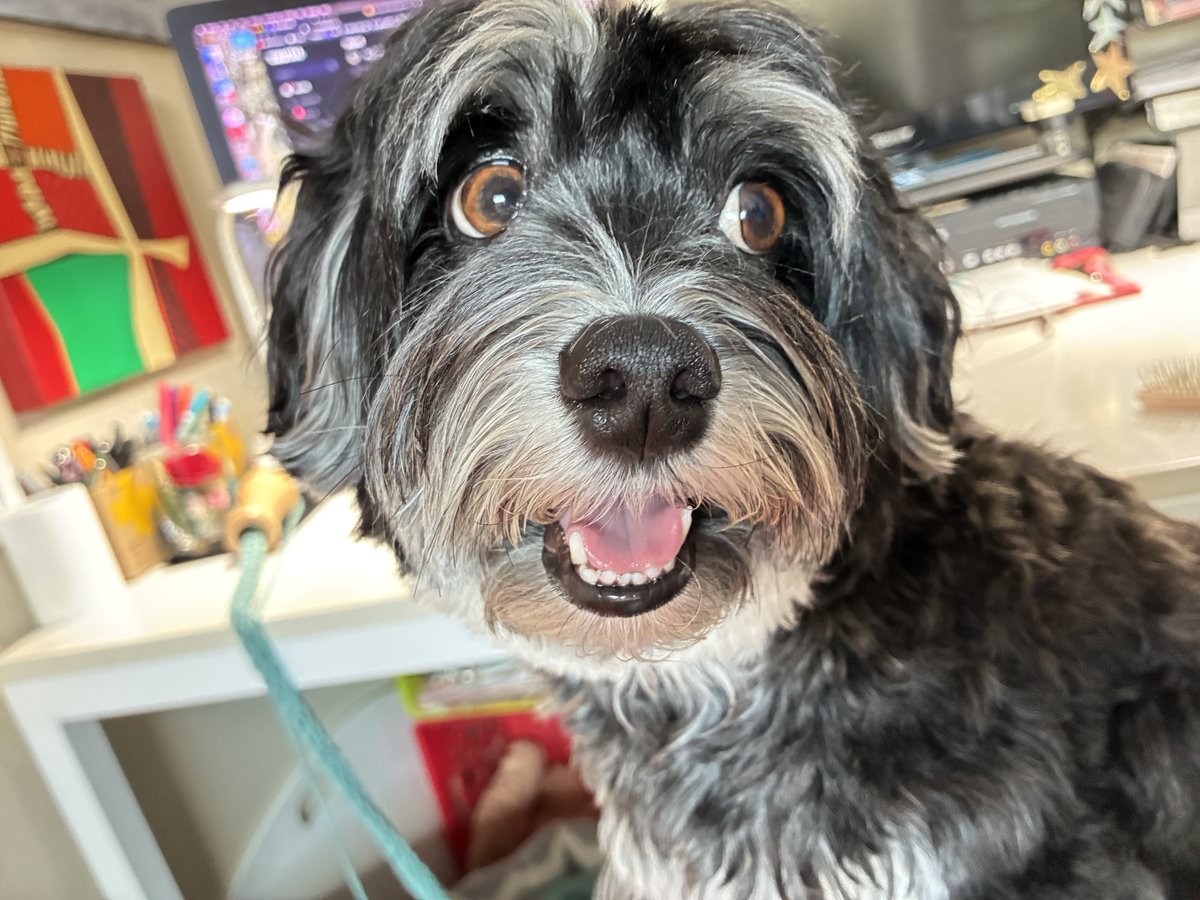 Jacky 🌞 tweet media