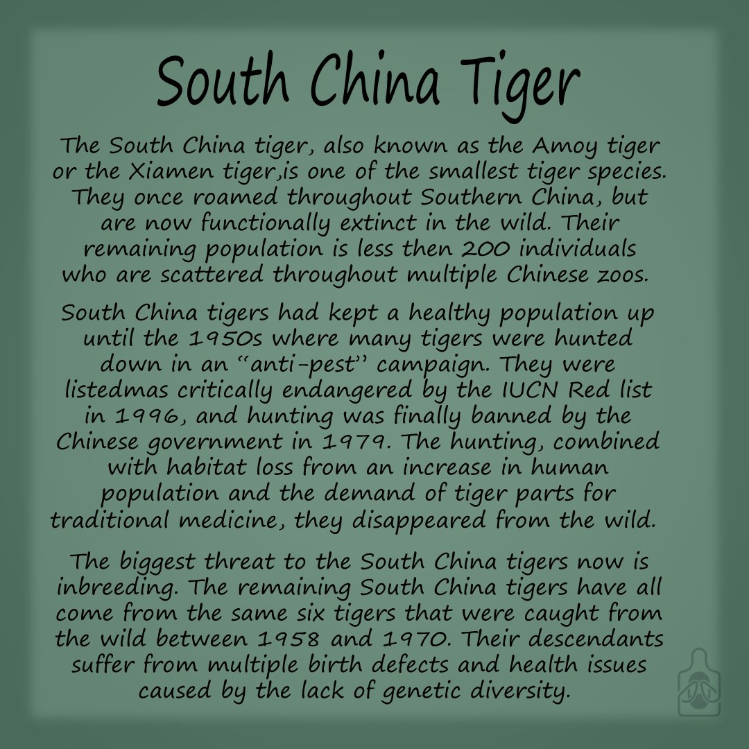 ProsaicCat tweet media