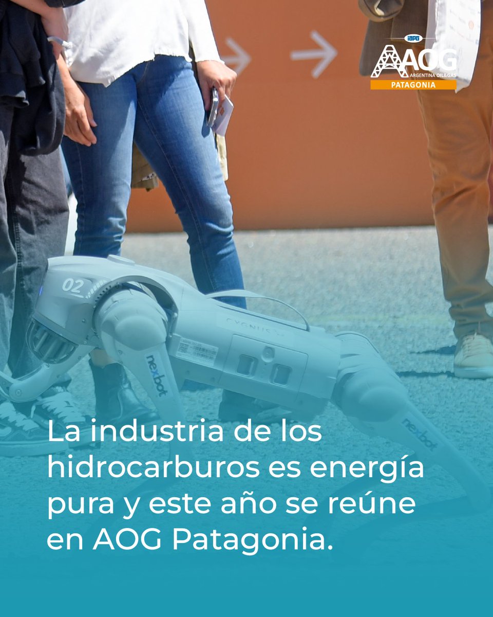 AOG Patagonia Expo tweet media