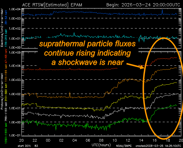 Dr. Tamitha Skov tweet media