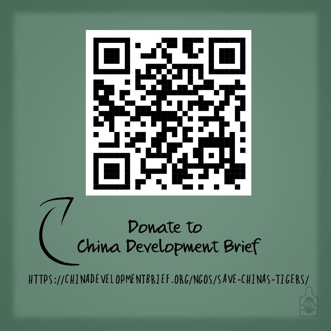 ProsaicCat tweet media