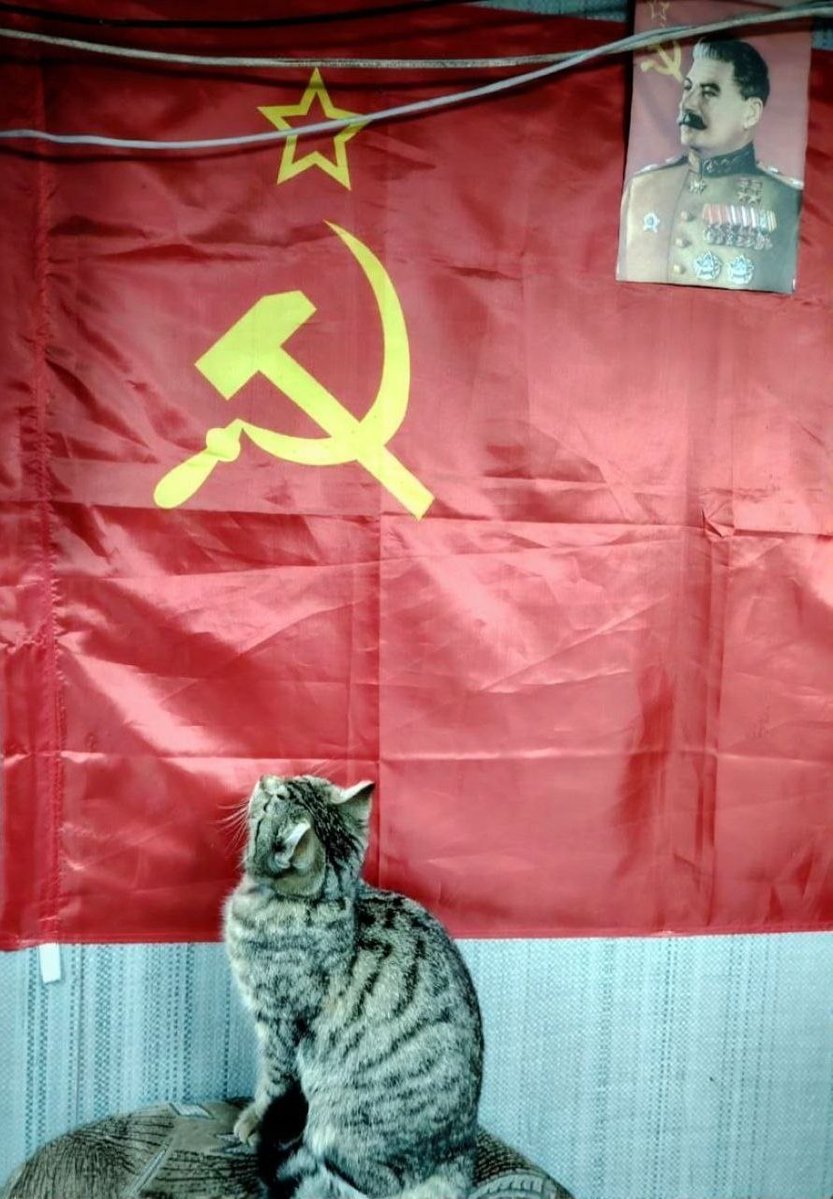 Antifa_Ultras tweet media