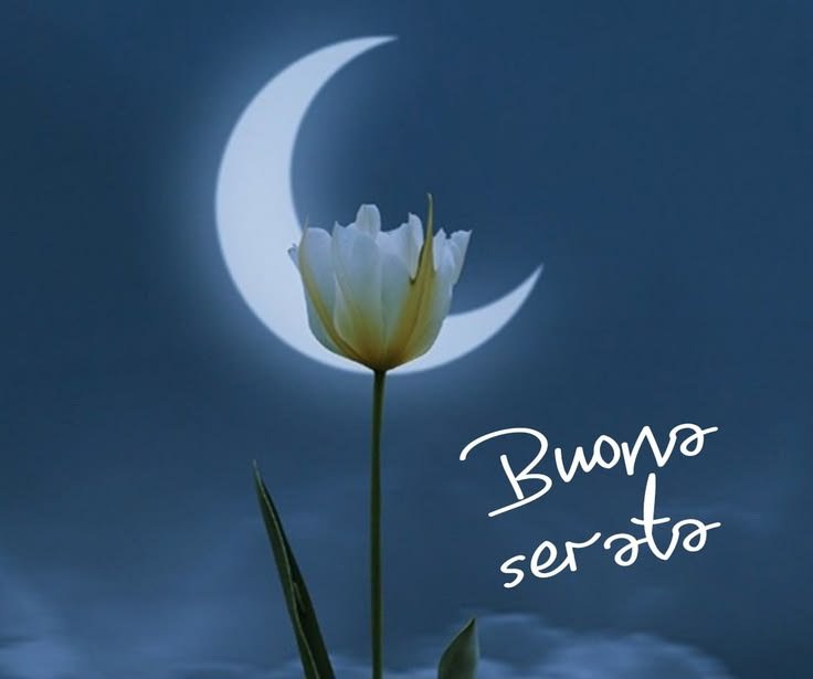 Monica 🍀⚘️🌍📚🐞🎧 tweet media