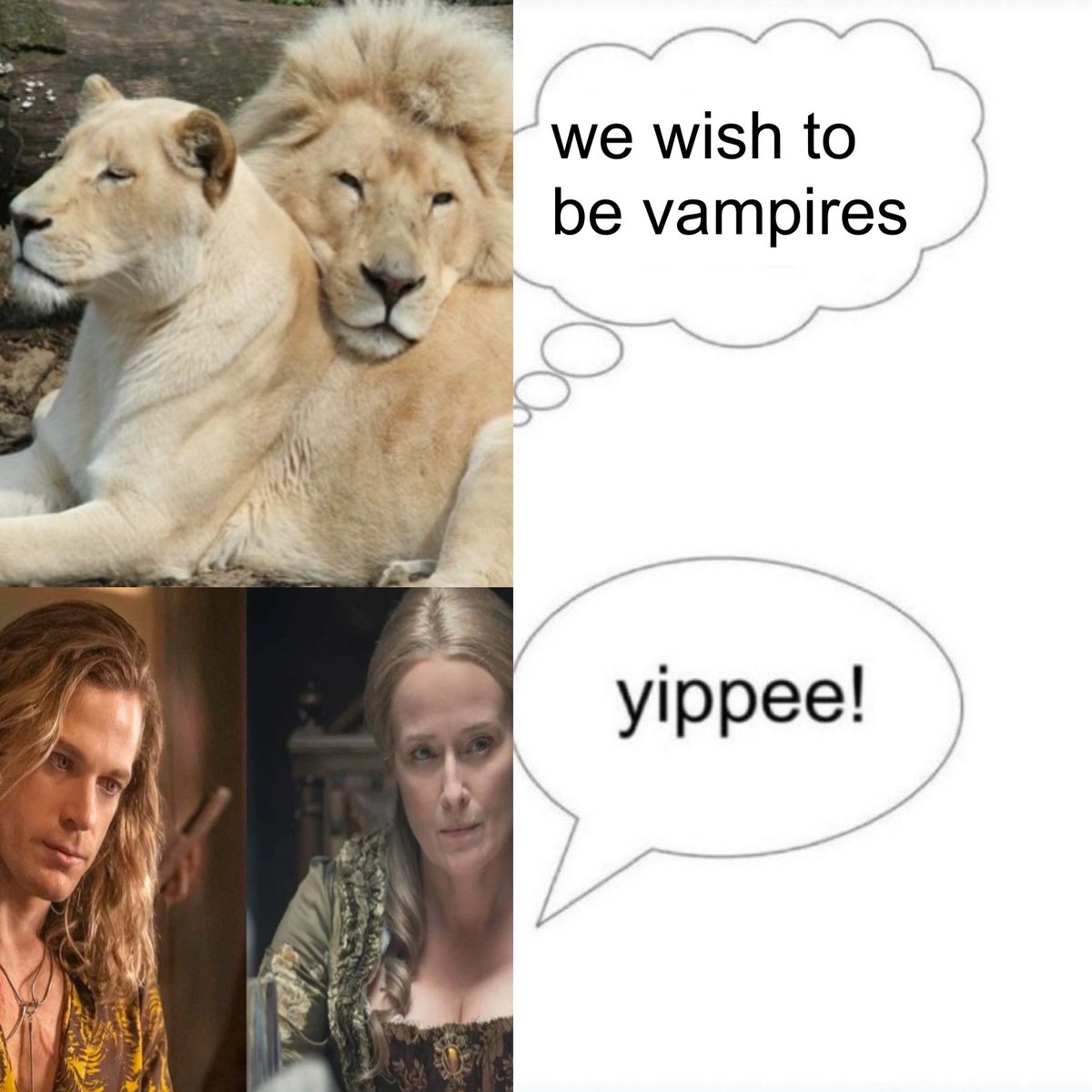 dia 🫀 tweet media