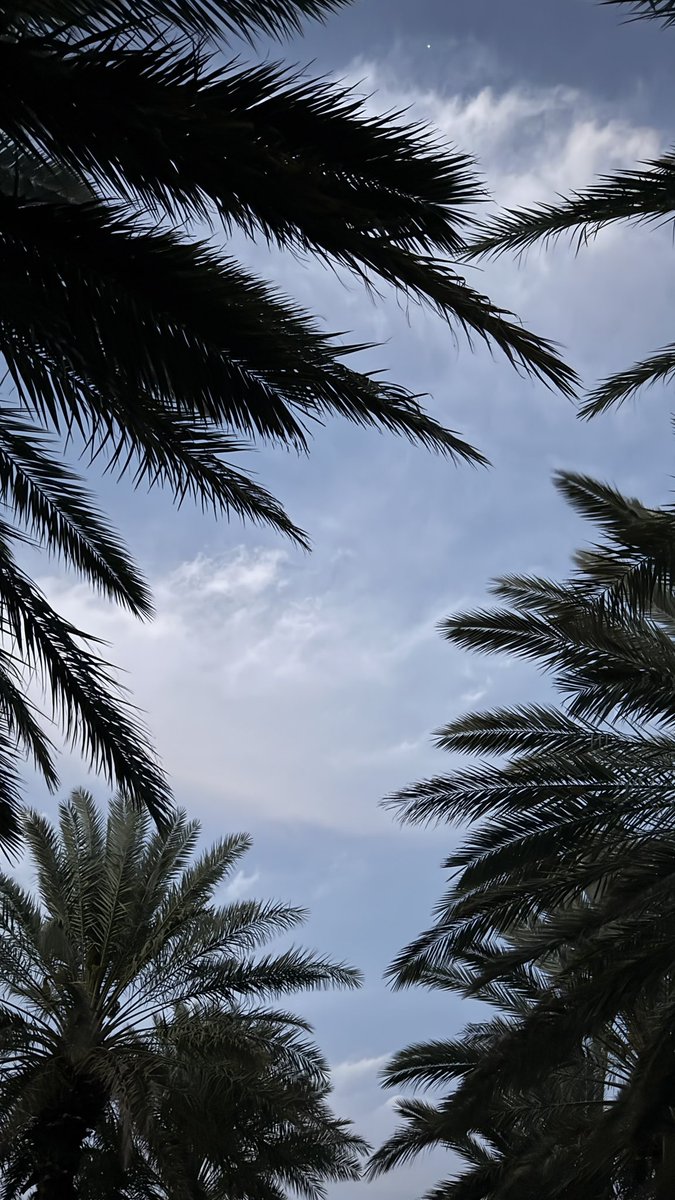 ABDULRAHMN tweet media