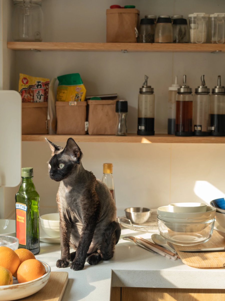 katie enfield tweet media