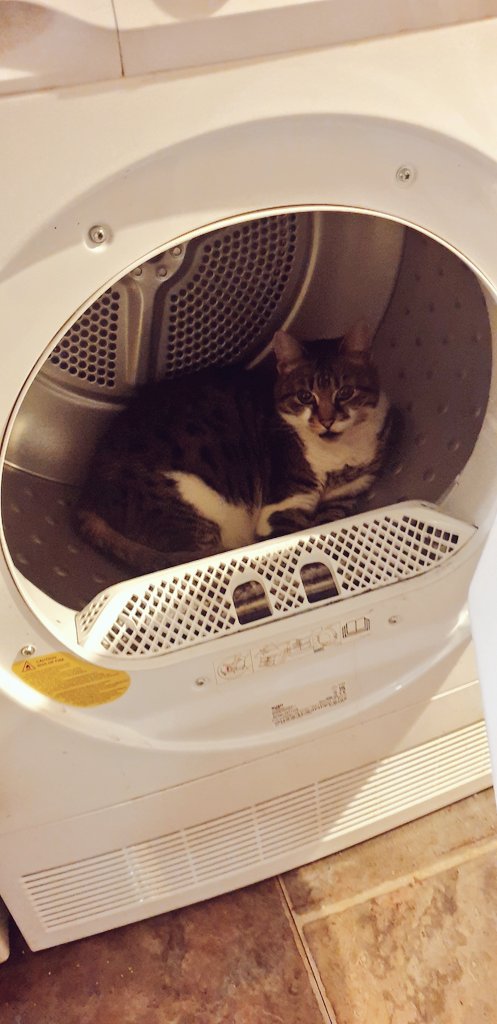 CrabbitWitch Reality Enjoyer tweet media