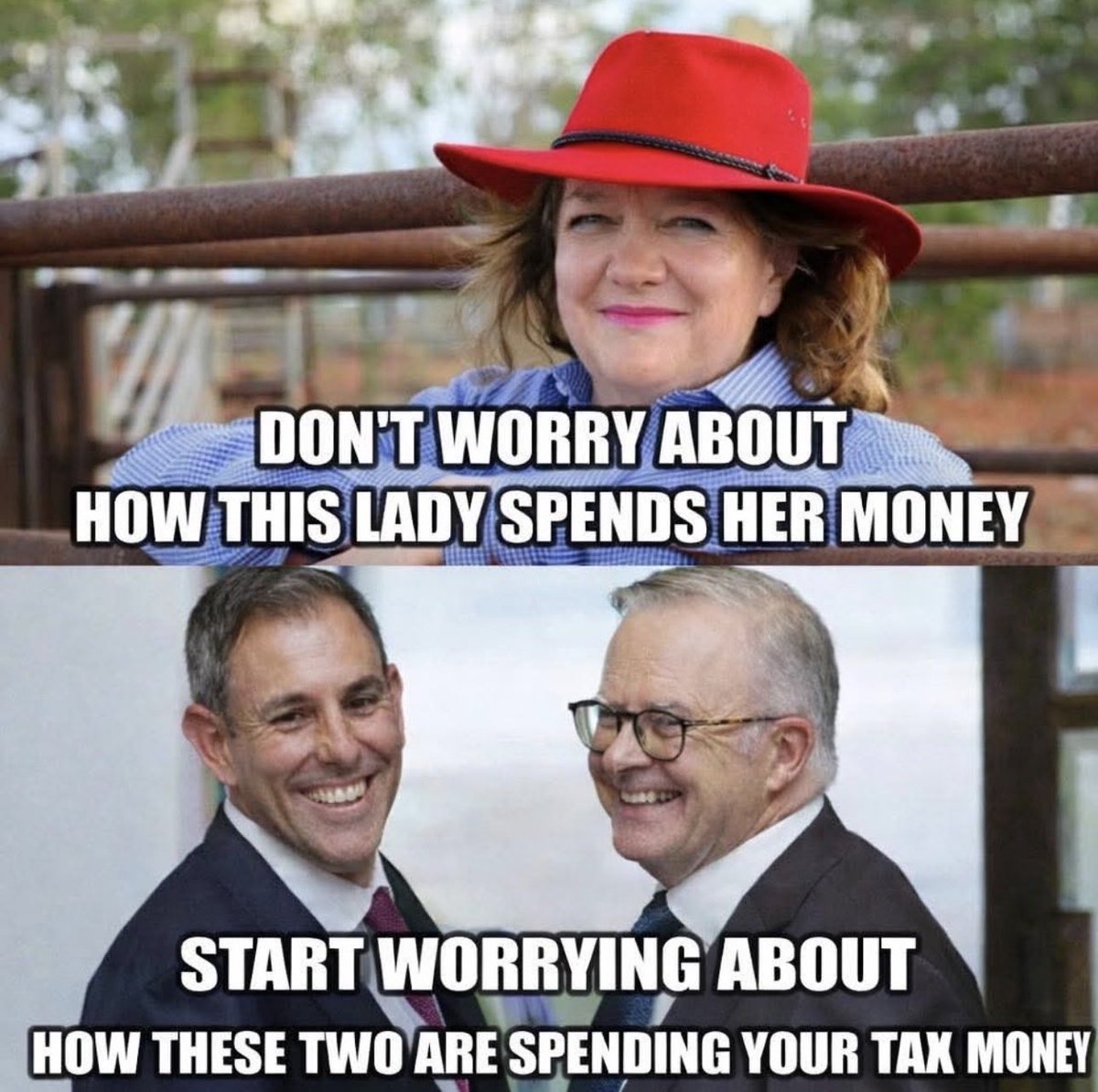 Tory Boy tweet media