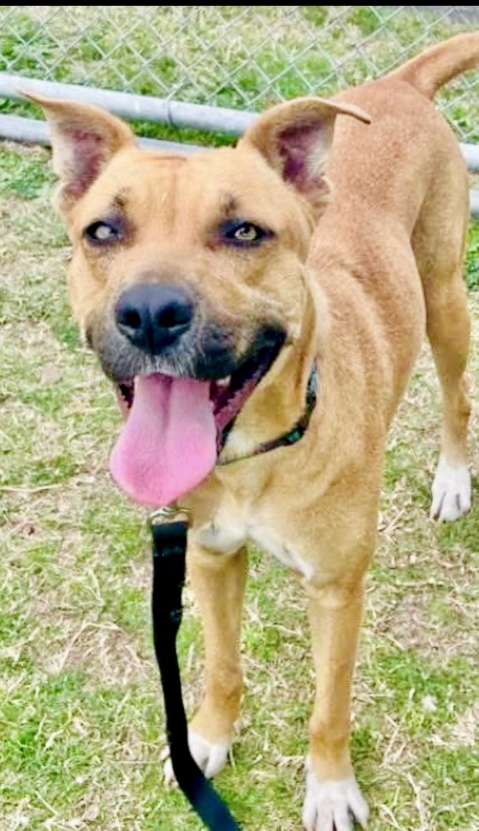 Cheryl Ramirez tweet media