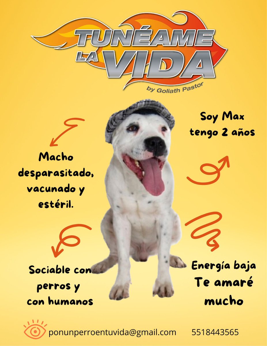 Goliath Pastor tweet media