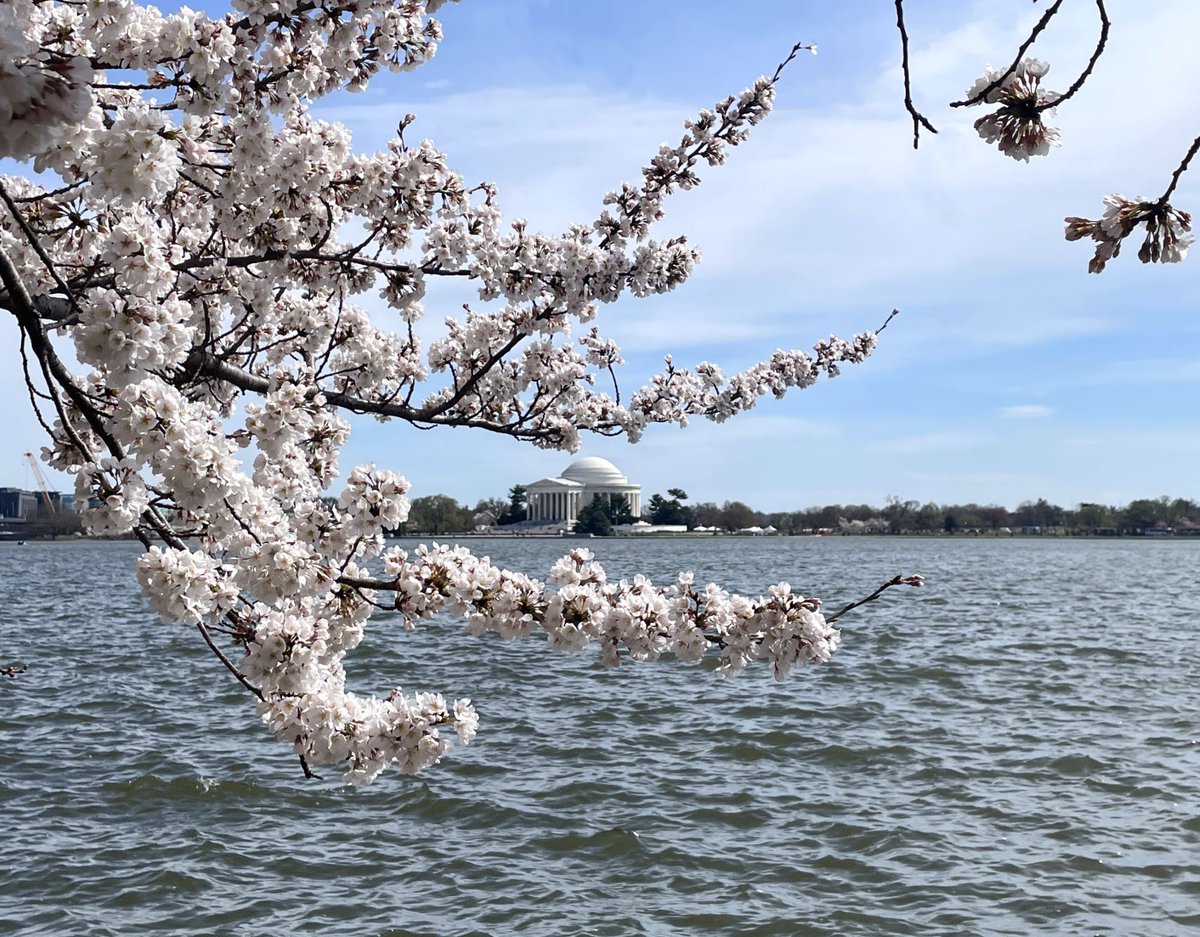 National Mall NPS tweet media