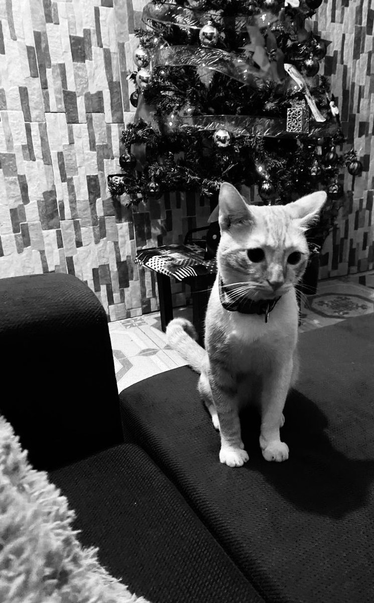 loouistv's tweet photo. goodbye, goodbye, goodbye, you were bigger than the whole sky, you were more than just a short time🤍 https://t.co/il5nVVzuwz