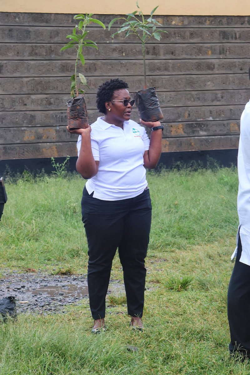 Seed Co Kenya tweet media