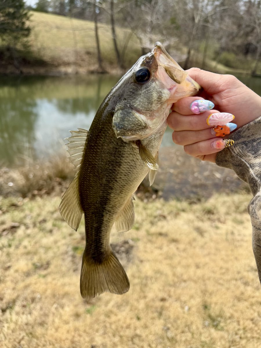 LisaBPepper 🇺🇸 tweet media