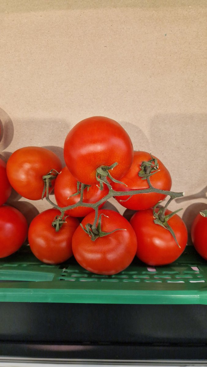 Jero Lloret 🟠 🏀 tweet media